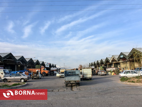 میدان میوه و تره بار در روزهای پایانی سال