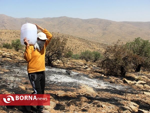 مهار آتش در ارتفاعات پاسارگاد