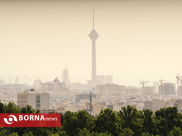 لیگ قایقرانی - دراگون بوت