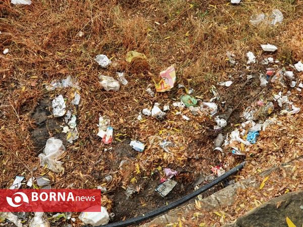پارک و ساحل را زباله نکنیم