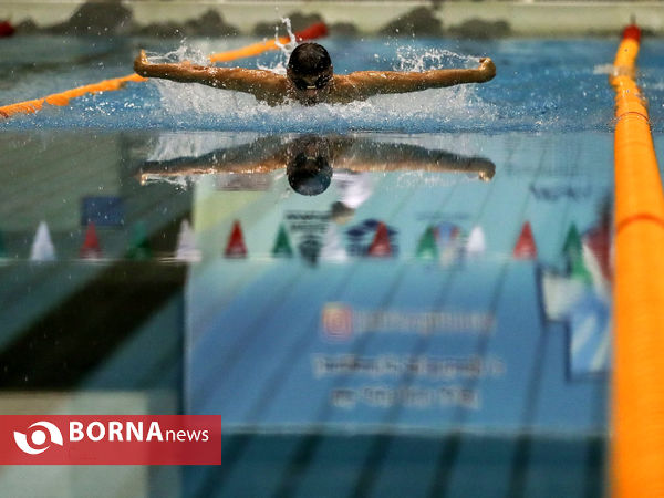 مسابقات شنا جام وحدت