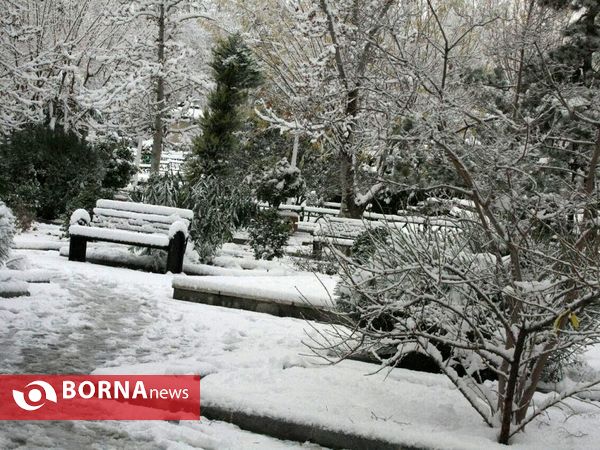 بارش نخستین برف پاییزی در تهران