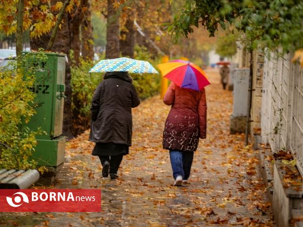 شيراز زیبای بارانی