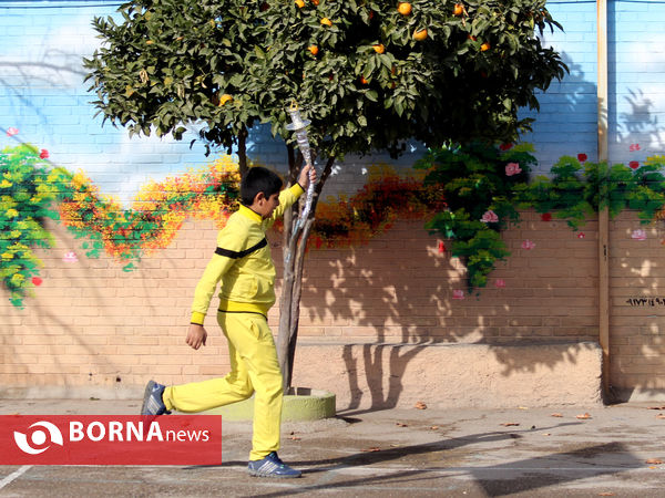 افتتاح المپیاد ورزشی درون مدرسه ای در مدارس شیراز