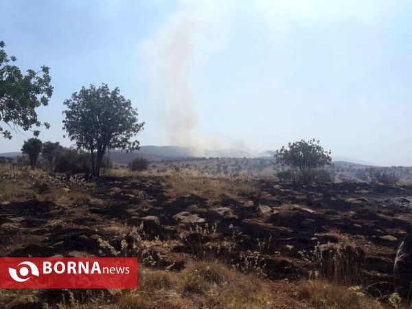 آتش سوزی در جنگل های پاسارگاد