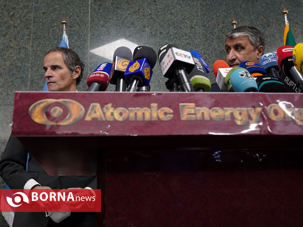 دیدار مدیر کل آژانس بین‌المللی انرژی اتمی با رییس سازمان انرژی اتمی